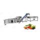 380V CE Certified Stainless Steel Commercial Fruit And Vegetable Washing Processing Line