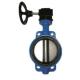 High Performance Water Butterfly Valve Through Shaft Metal Seated Butterfly Valve