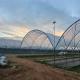 Blueberry Strawberry Growing Multi Span Tunnel Film Greenhouse Use Scatting Film For Planting