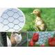 Poultry Fence 50mm BWG19 Reverse Twisted Hexagon Metal Mesh