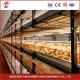 20,000 Birds Easy Operate Full Automatic Broiler Cage System For Chicken Farm Sandy