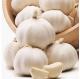 China Mixed Garlic 5-6cm