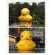 Attractive Inflatable Yellow Duck for Water Game(CY-M2732)