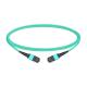 1m (3ft) 12 Fibers Female to Female MTP Trunk Cable Polarity B Plenum (OFNP) OM3 50/125 Multimode Fiber