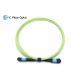 12 Fiber Female MPO To MPO Fiber Optic Cable Assemblies OM5 50/125 Type B