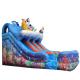 Backyard Inflatable Water Slides Double Lane Water Slide With Swimming Pool