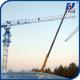 Hot 6tons Cheap Facotry Price PT6013 Topless Tower Crane 2.5m Block Mast 40m Height