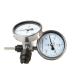 WSS Industrial high temperature gauge bimetal thermometer, temperature gauge