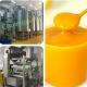 20KW Mango Processing Machine Stainless Steel 380V 410V