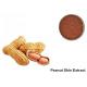 95% Proanthocyanidins Peanut Skin Anthocyanin Extract Powder
