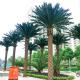 Artificial Date Palm Tree outdoor fake palm tree 10-20ft real touch leaves