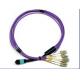12 Fiber MPO to SC Fiber Optical Patch Cord For Telecommunication Network
