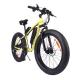 Professional 1000w Mens Fat Wheel Electric Bike Mens Electric Cruiser Bike 60-80km