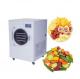 Hotel Fruit Vegetable Food Vacuum Freeze Dryer Machine 0.1m2 750W