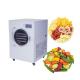 Hotel Fruit Vegetable Food Vacuum Freeze Dryer Machine 0.1m2 750W
