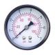 pressure gauge, pressure gage, pressure meter, piezometer, pump accessory