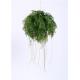 Realistic Artificial Hanging Plants Ferns 55CM Strong UV Resistance Ideal Assortment