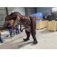 Customization Giant Dragon Animatronic Costume With Voice Control