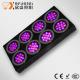 X - Smart Serious 180W 7 Band Color Professional Led Grow Light with 5 Modules For Bonsai