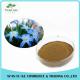 Factory Supply Low Price Plant Extract Pure Boneset Herb Extract 10:1 Properties Toner not Buffy