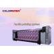 8 Pcs High-Speed Digital Printing Machine For Textile Fabric With Printer Nozzle Pump