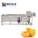 Mango Industrial Fruit Washing Machine Multifunctional Veggie Cleaner Machine