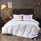 Hilton Duvet Double Spring Autumn Winter Quilt Core and Hot Style for Micro-Business