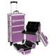 Customized Logo Makeup Organiser Trolley , Cosmetic Trolley Case With Removable Tray