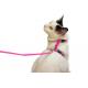 Small Pet Cat Harness Collar , Adjustable Nylon Cat Collar Easy To Wear