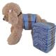 Keep Your Male Dog Clean and Dry with Our Disposable Diaper Tail Hole Adjustable Size