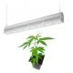 Green House Waterproof LED Grow Lights Replacing HPS And HID 3 Years Warranty
