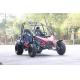 Horizontal Single Cylinder 4 Stroke Double Seat Go Kart With Front / Rear Disc Brake