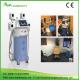 Beauty Equipment NEWEST 4 handles cryolipolysis two handles can work  together
