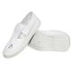 4 Holes Mesh Upper Shoes Washable ESD Products