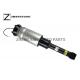 OEM RPD501110 Air Suspension Strut , Universal Air Struts ACE 2.7/4.2/4.4 05-09 For Land Rover