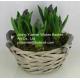 new design home dicorative wicker flower basket willow garden basket plant