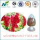 fructus schisandra chinensis extract with CAS:7432-28-2 GMP manufacturer and