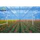 Outdoor Shading Glasshouse for Humidity Control in Commercial Greenhouse Production