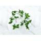 Indoor 200cm Fire Proof Plastic Simulated Rattan Branches