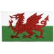 SGS Square Base England Wales Rectangle Banner Flags