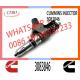 Common Rail Injector Diesel Fuel Injector 3087560 3087733 3083846 For Engine Parts