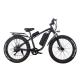 Loading 200KG Fat Tire Electric Mountain Bike 48v Electric Bicycle Light Operation