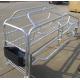 hot dip galvanized pig farrowing crate pig cages for pig farming