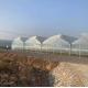 Long Lifespan 3-5 Years Greenhouse with Plastic Film UV Protected