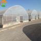 High Output Attractive Single Span Greenhouse With Stable Structure