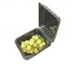 Strawberry Plastic Packaging Boxes PET Clamshell Containers