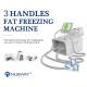 2 Cryo handles work same time portable cryolipolysis+Lipo laser machine