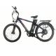 48v Electric Bicycle Lithium Battery Two Wheel City Bike Arrow 9 48v 20ah Ebike 500w