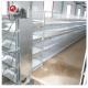 Poultry Farm cages for broiler chicken Breeding / Meat Broiler