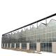 Large Glass Greenhouse Mushroom Aeroponic Tower Garden for Eco Restaurant Instruction